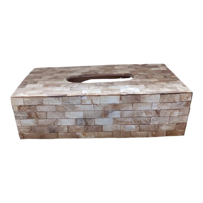 Dream-Living Luxe Tissuehouder van Gouden Capiz Schelpen – Handgemaakte Tissue Box 24 x 12,5 x 7 cm