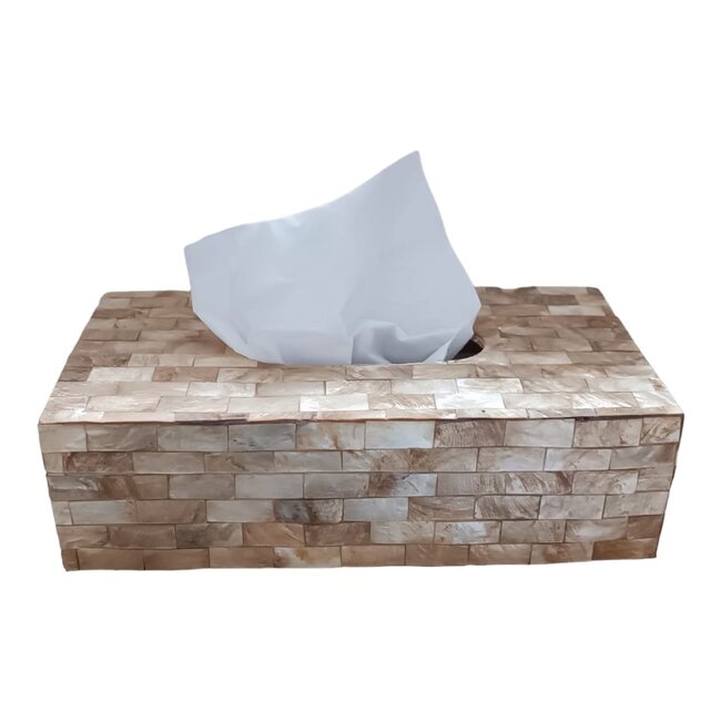 Dream-Living Luxe Tissuehouder van Gouden Capiz Schelpen – Handgemaakte Tissue Box 24 x 12,5 x 7 cm