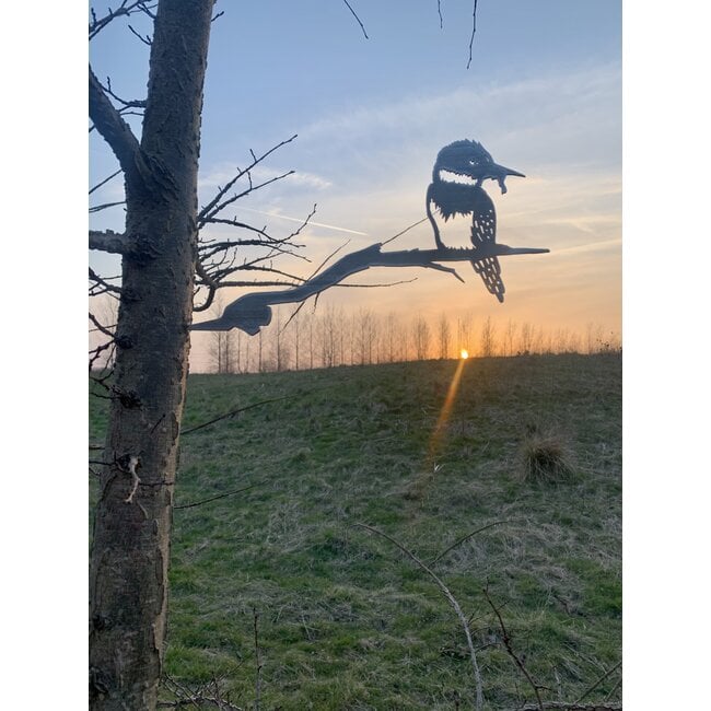Siermetaal IJsvogel
