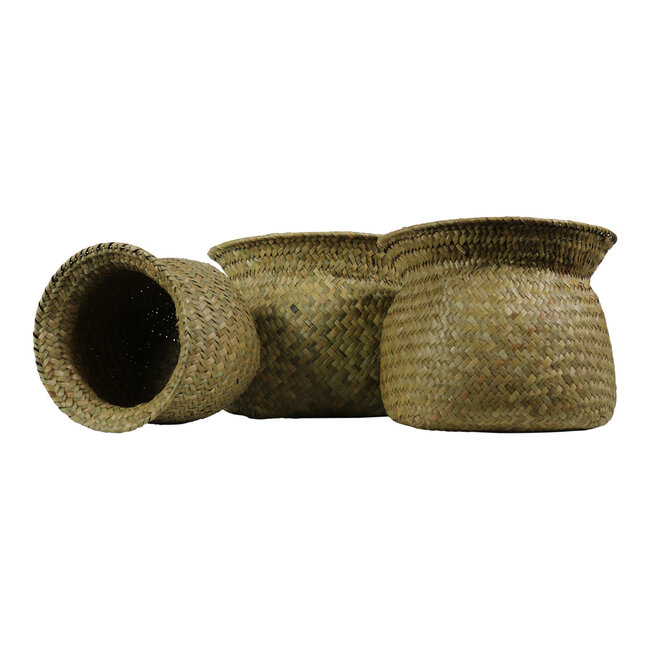 Mars & More *zeegras bloempot hals (set of 3)*