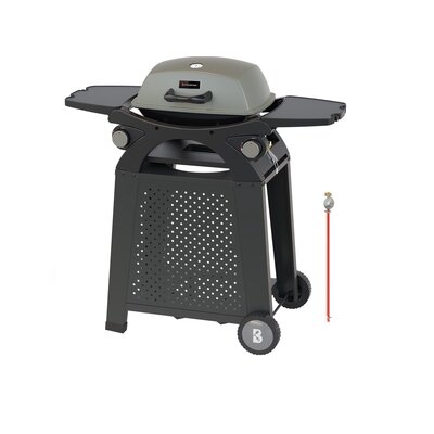 Gasbarbecues