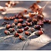 Dream-Living Eikeltjes 50 gram - herfstdecoratie