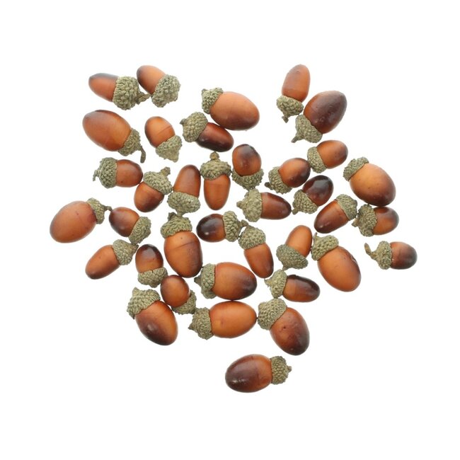 Dream-Living Eikeltjes 50 gram - herfstdecoratie