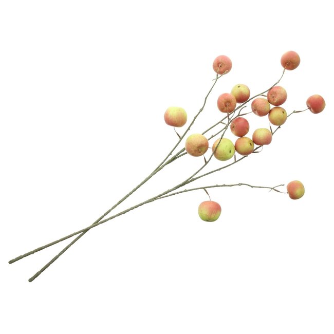 Dream-Living Kunst appeltak set van 2 - 85 cm lang