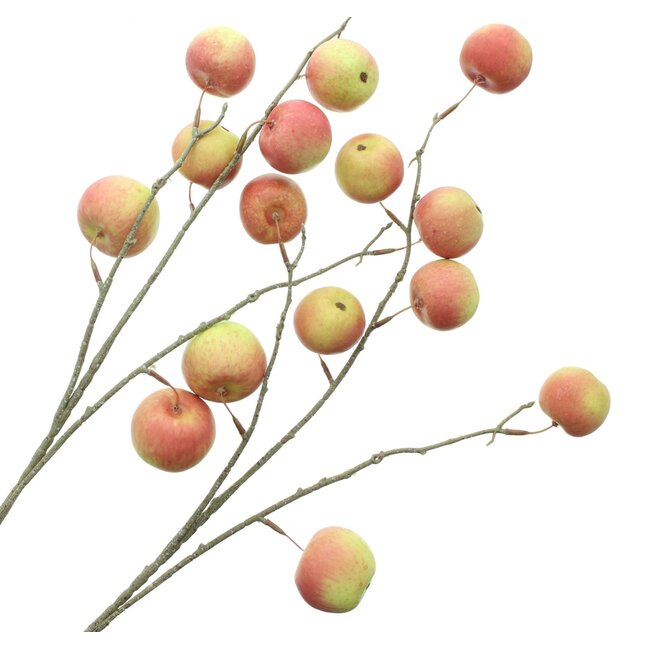 Dream-Living Kunst appeltak set van 2 - 85 cm lang