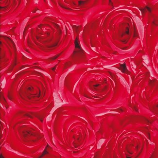 2Lif Roses Zelfklevende Folie Mini rol multi 45cmx2mtr