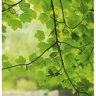 2Lif Anna Outdoor TextielPoster fotoprint 95x95cm