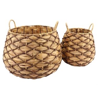 2Lif Merapo Mand bruin 50cm