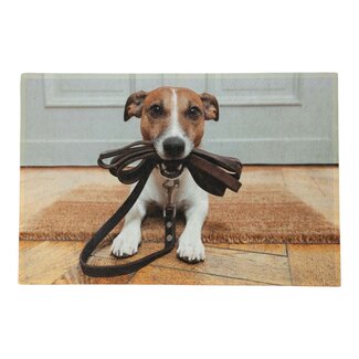Mars & More deurmat humor jack russell 75x50cm