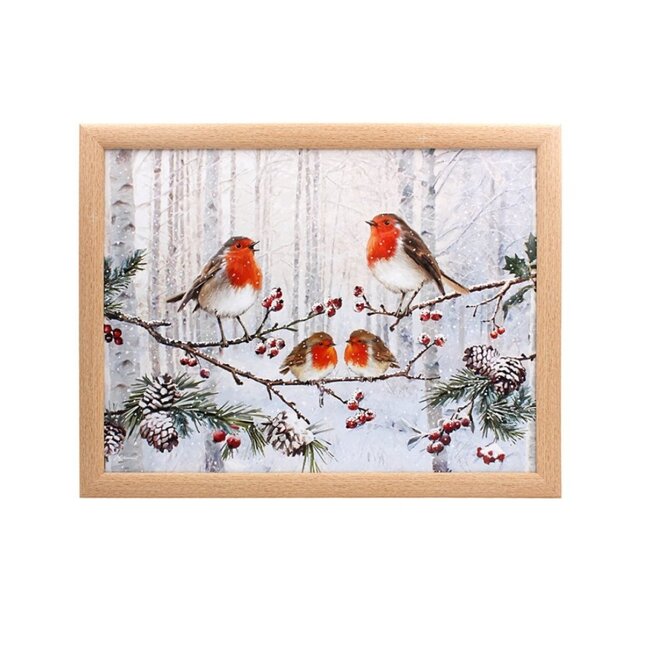 Dream-Living Schootkussen Roodborstjes in de Sneeuw - 44 x 34 x 6,5 cm