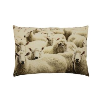 Mars & More canvas kussen schapen 40x60cm