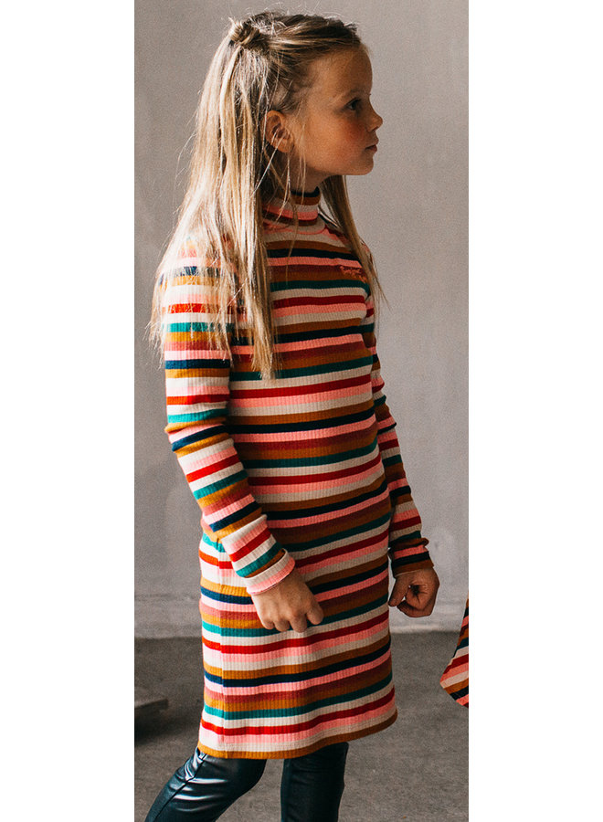 Aneli Dress Col - Rib Multicolour