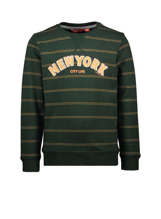 Tygo & Vito -  Sweater YD Stripe NY - Green