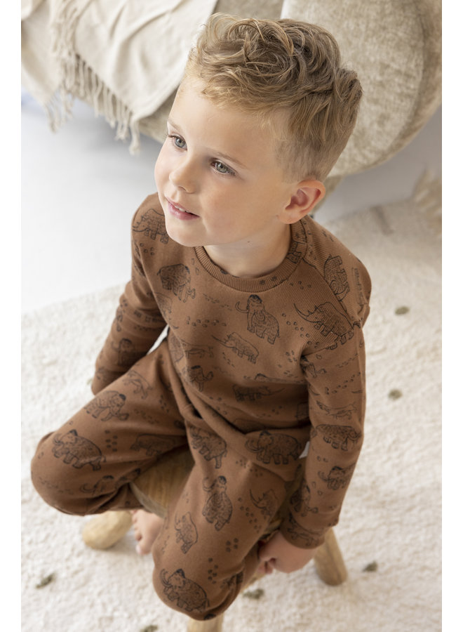 Feetje - Pyjama Marty Mammoth Bruin - Premium Sleepwear