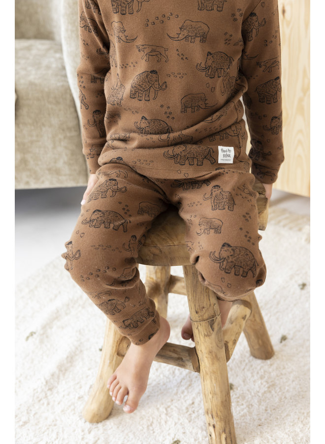 Feetje - Pyjama Marty Mammoth Bruin - Premium Sleepwear
