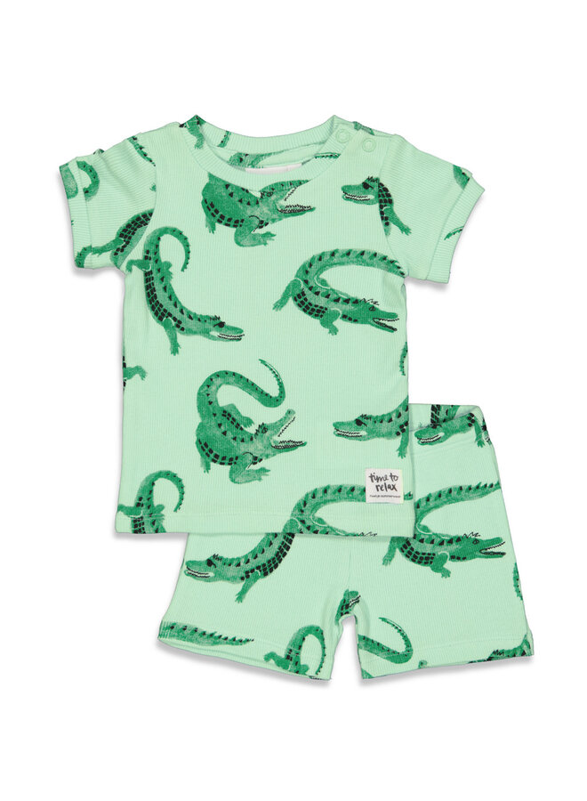 Feetje - Baby Shortama Zomer Pyjama Chris Croc - Groen