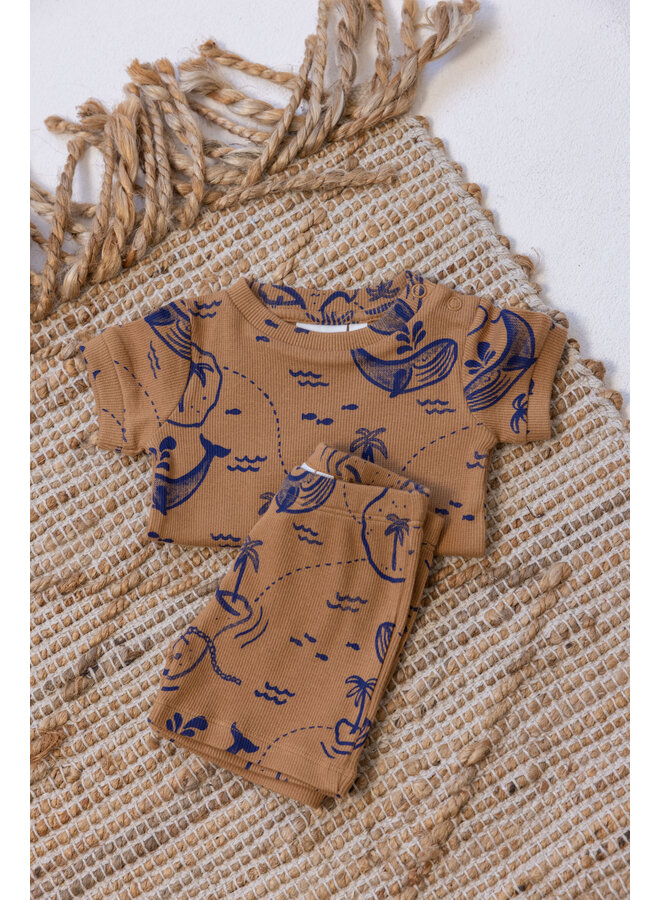 Feetje - Baby Shortama Zomer Pyjama Wally Whale - Camel