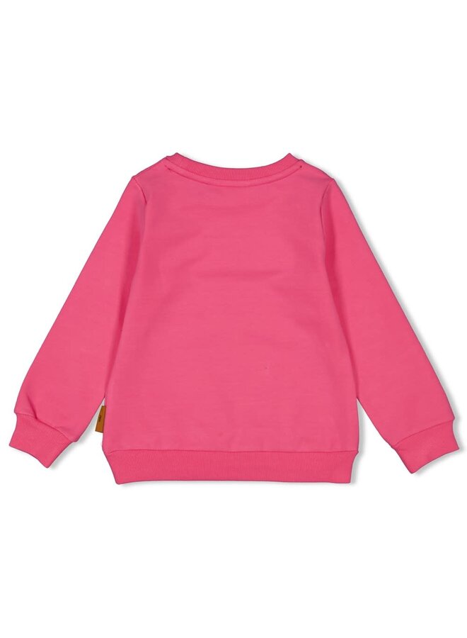 Jubel - Sweater Roze - Color Me Panther