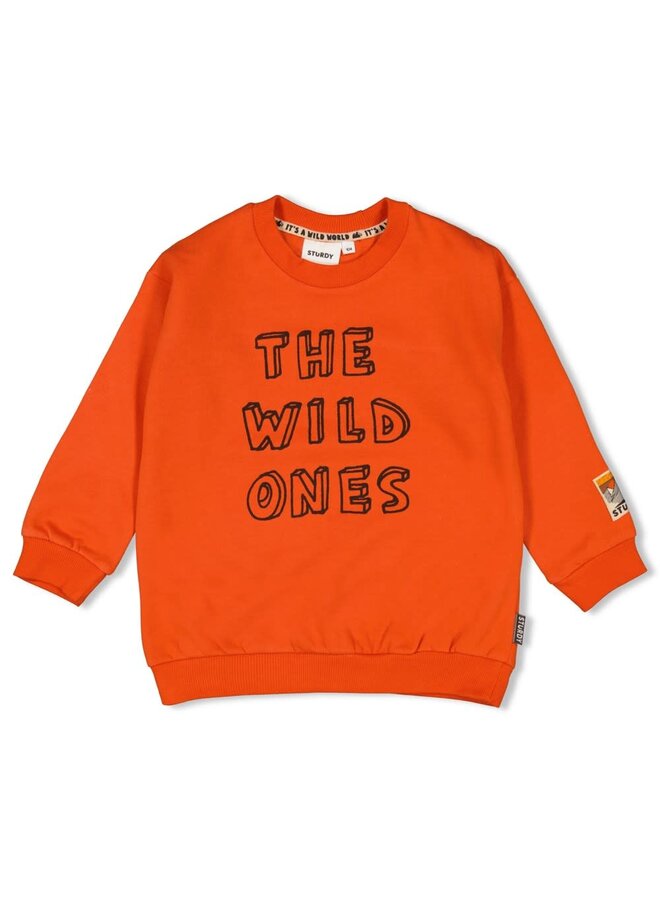 Sturdy - Sweater Rood - Fly Wild