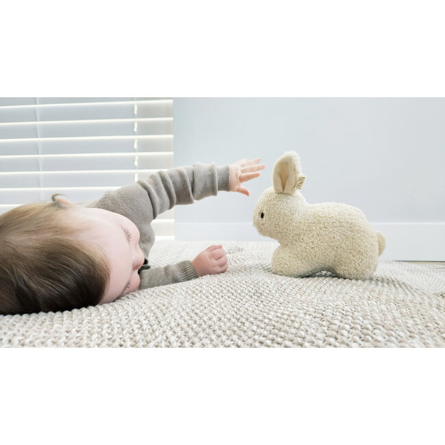 BamBam - Recycled Rabbit Cuddle