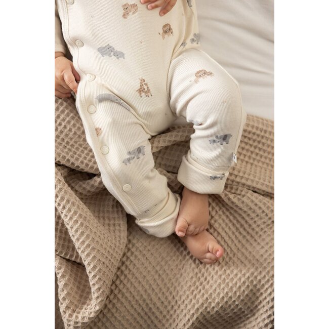 Feetje - Geschenkset Boxpak + Muts AOP Savanne Dieren - Offwhite