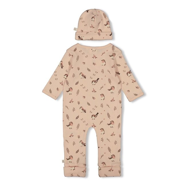 Feetje - Geschenkset Boxpak + Muts AOP Roodborstje - Roze