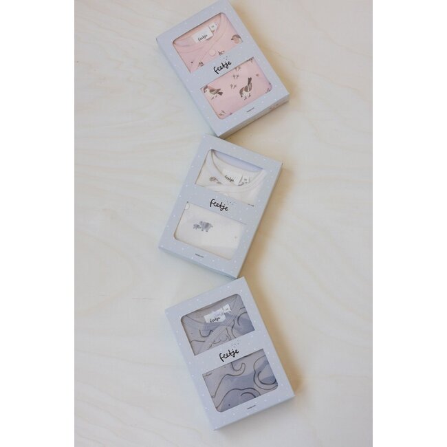 Feetje - Geschenkset Boxpak + Muts AOP Roodborstje - Roze