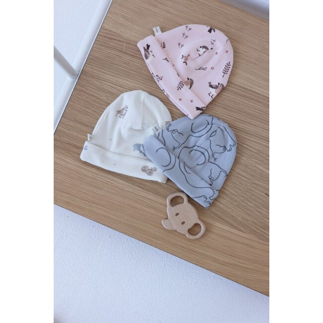 Feetje - Geschenkset Boxpak + Muts AOP Roodborstje - Roze