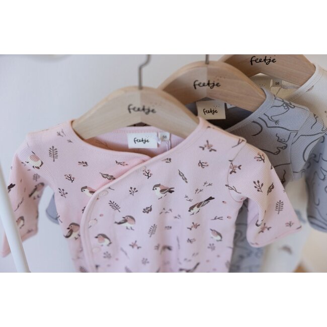 Feetje - Geschenkset Boxpak + Muts AOP Roodborstje - Roze