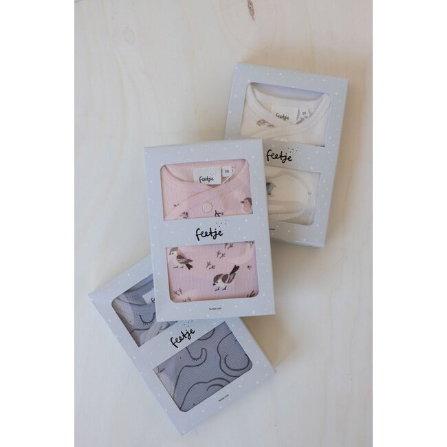 Feetje - Geschenkset Boxpak + Muts AOP Roodborstje - Roze