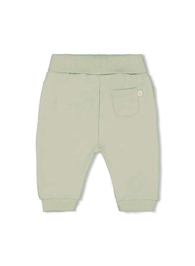 Feetje - Broek Mint - Eat Your Veggies