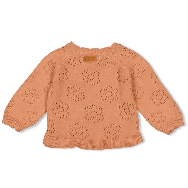 Feetje - Vestje Gebreid Hazelnoot - Strawberry Fields