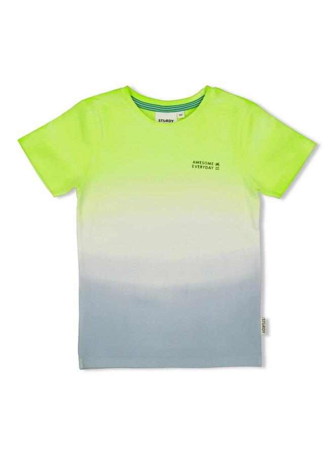 Sturdy - T-shirt Lime/Lichtblauw - Gone Surfing