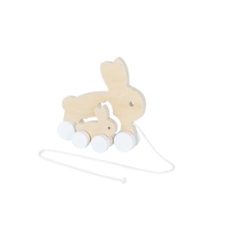 BamBam BamBam - Eco Friendly Rabbit Pulltoy