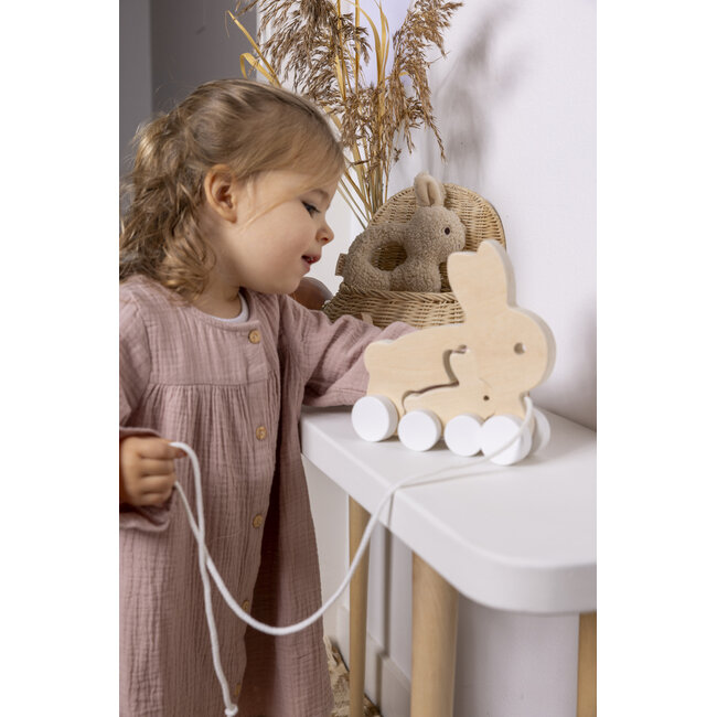 BamBam - Eco Friendly Rabbit Pulltoy