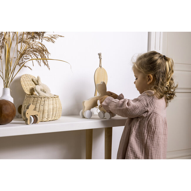 BamBam - Eco Friendly Rabbit Pulltoy