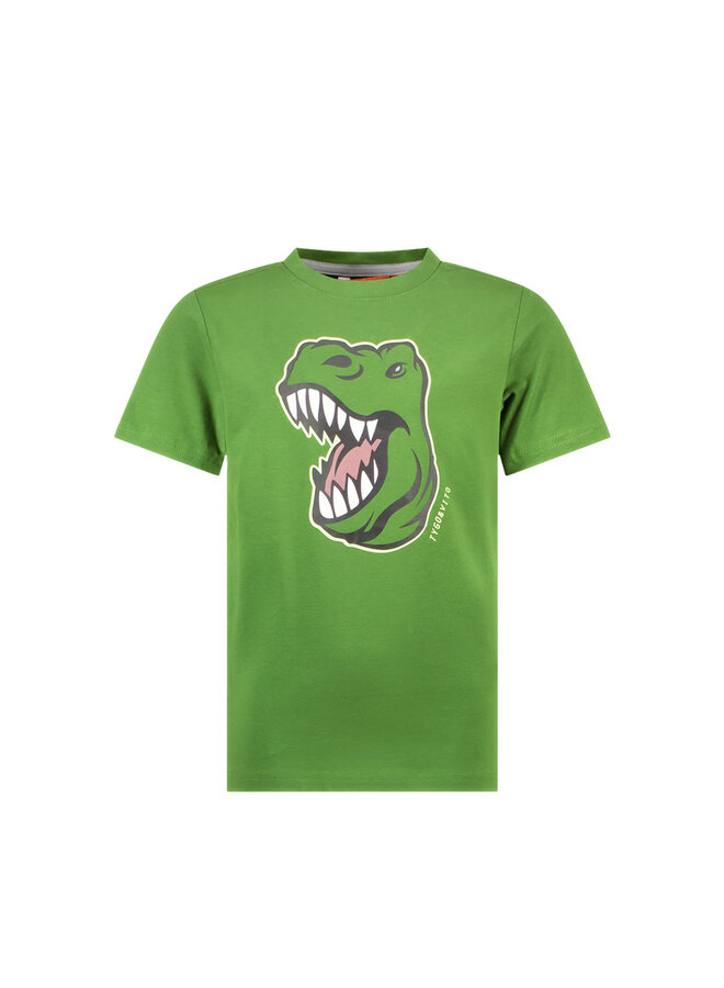 Tygo & Vito - T-shirt Jaimy - Tropical Green
