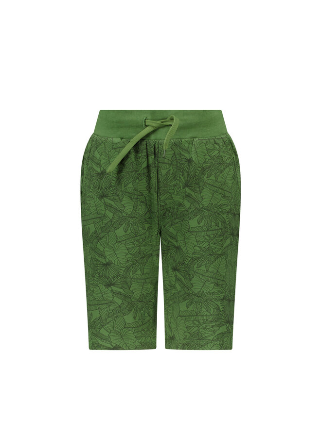 Tygo & Vito - Jogshort Thomas - Green