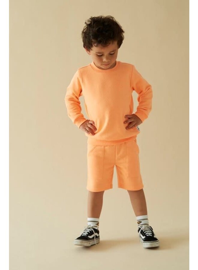 Sturdy - Sweater Neon Oranje - Checkmate