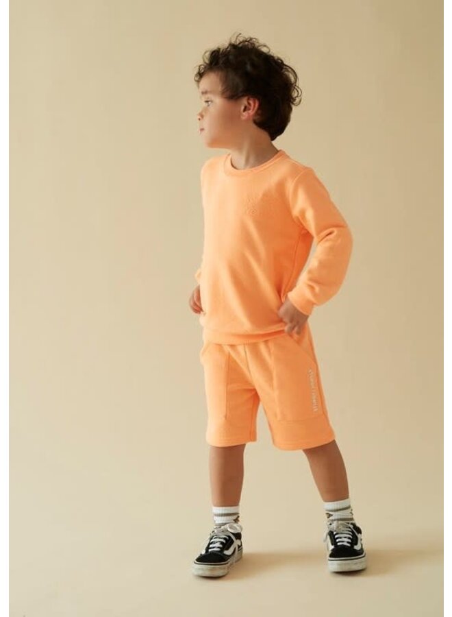 Sturdy - Sweater Neon Oranje - Checkmate