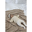 Feetje - Sweater Gebreid Creme - The Magic is in You