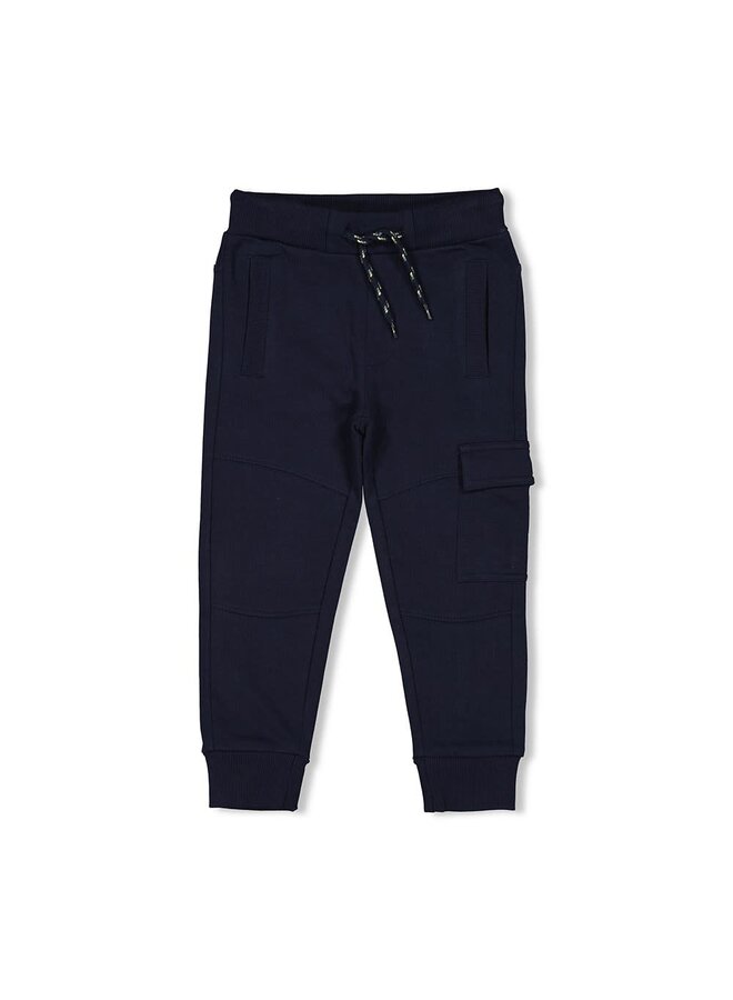 Sturdy - Cargo Broek Marine - Coastal Cool