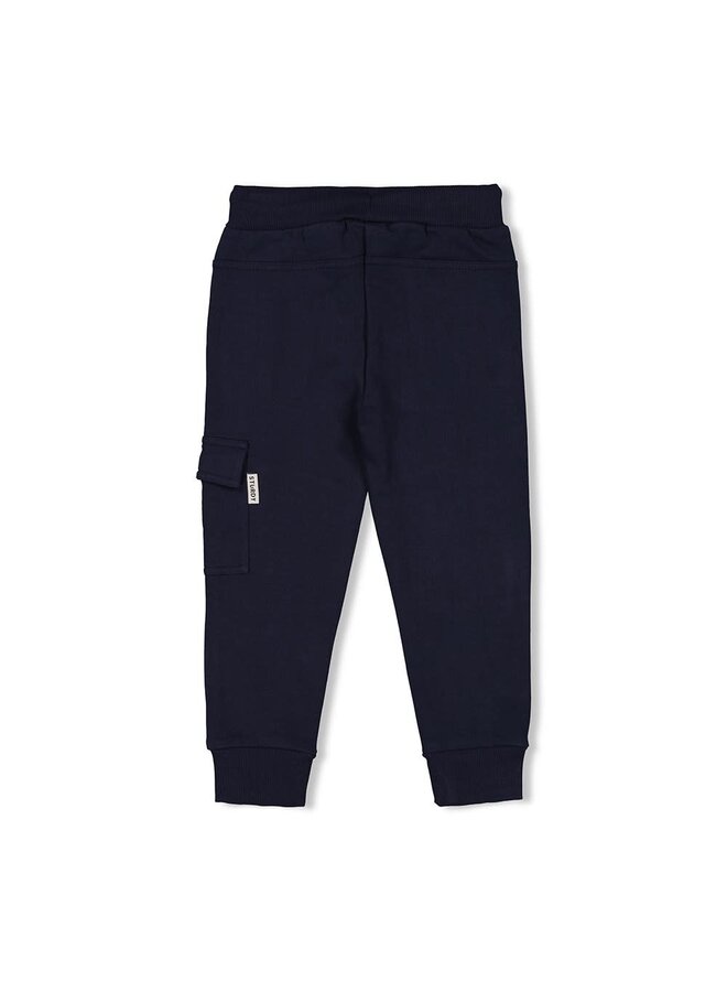 Sturdy - Cargo Broek Marine - Coastal Cool