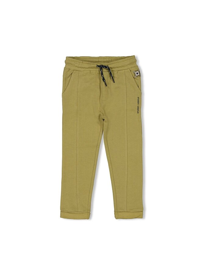 Sturdy - Broek Groen - Coastal Cool