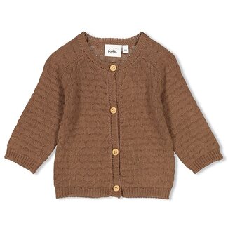 Feetje Feetje - Vestje Gebreid Bruin - Acorn