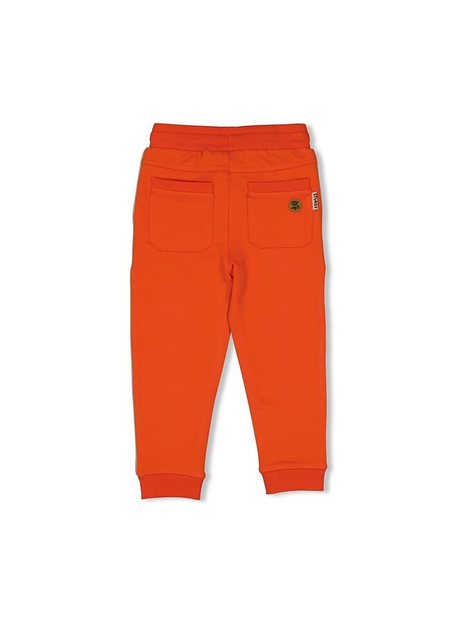 Sturdy - Broek Oranje - Jump For Joy