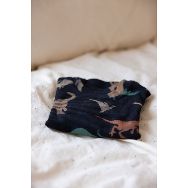 Feetje - Baby Pyjama Davy Dino Antraciet - Premium Sleepwear