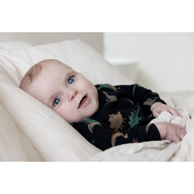 Feetje - Baby Pyjama Davy Dino Antraciet - Premium Sleepwear