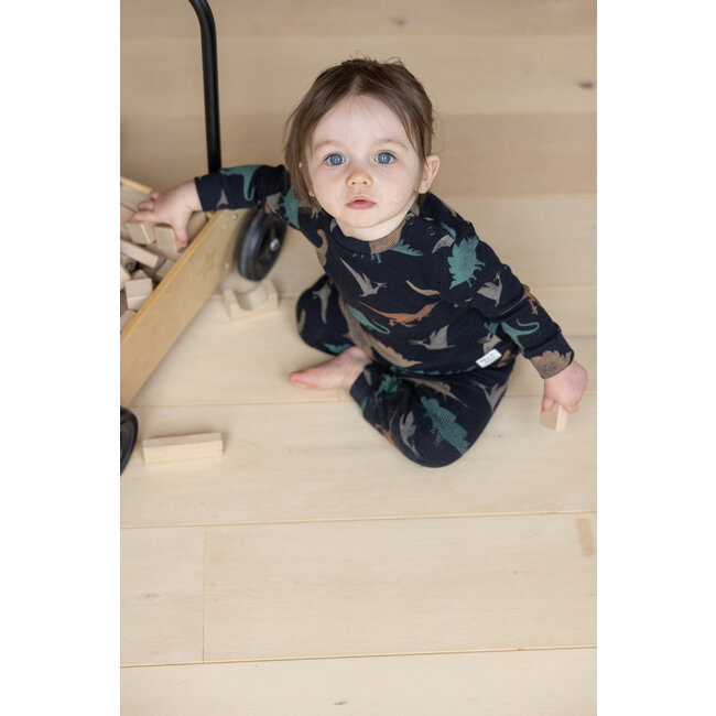 Feetje - Baby Pyjama Davy Dino Antraciet - Premium Sleepwear