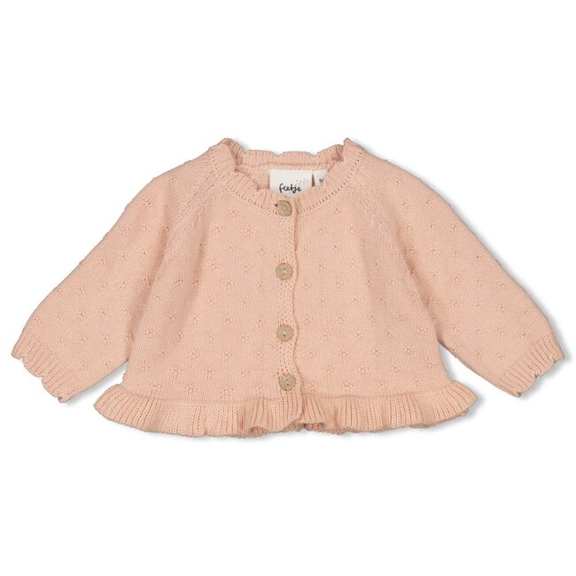 Feetje - Vestje Gebreid Roze - Sweet Poppy